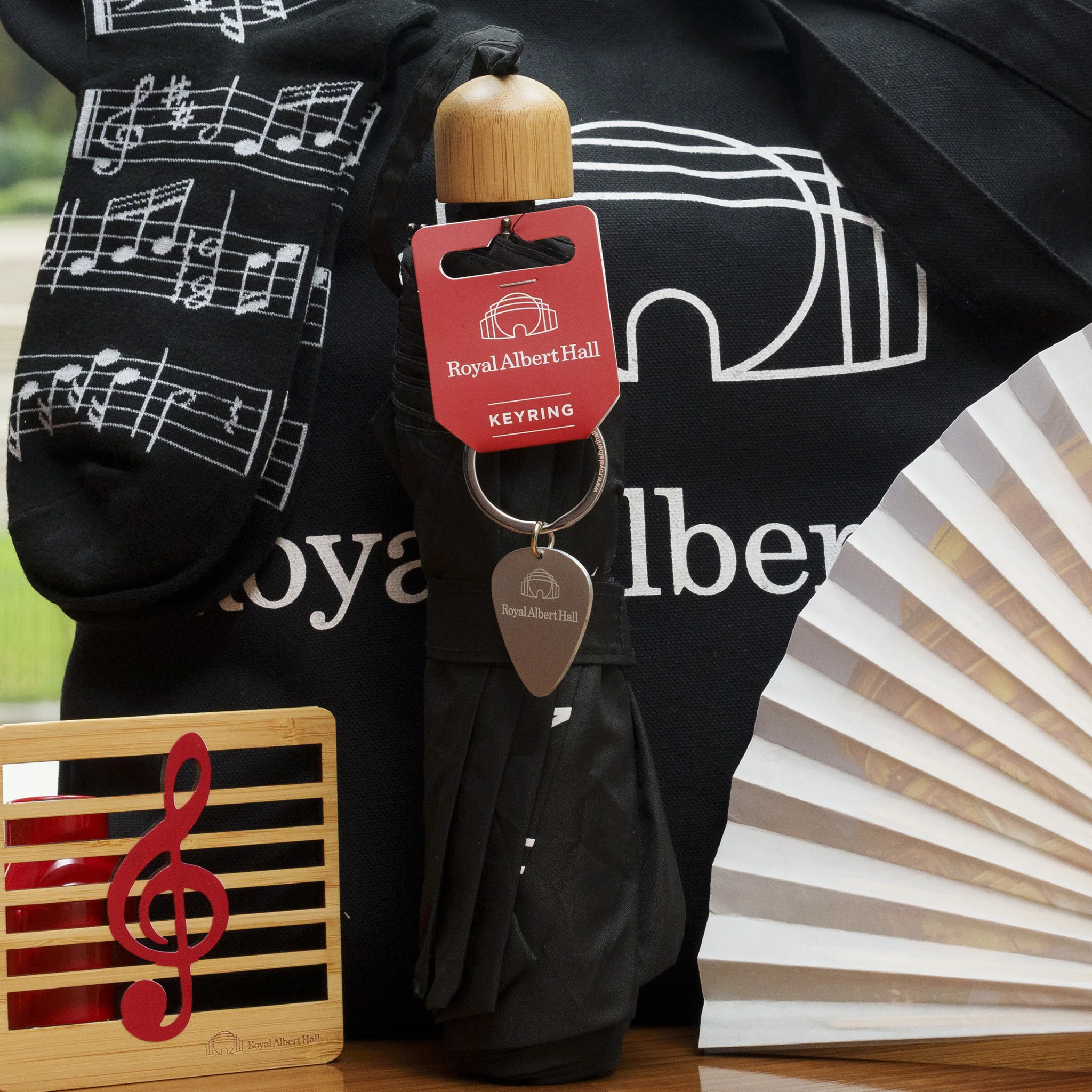 Royal Albert Hall Guitar Plectrum Keyring - Image 3